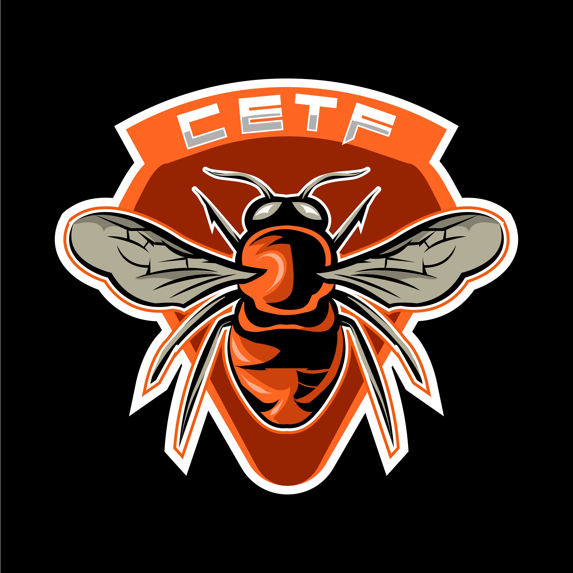 Rebuilt CETF insect badge with flatter color shapes and a white outline, shown on black